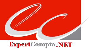 Expertise Comptable-Expert-Comptable
